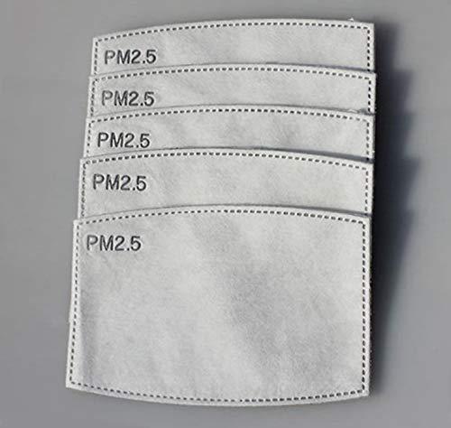 PM 2.5 Filter For Face Masks